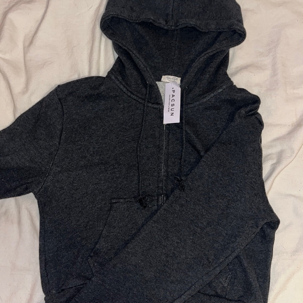 John Galt Brandy Melville Dark Gray Crystal Hoodie Cropped